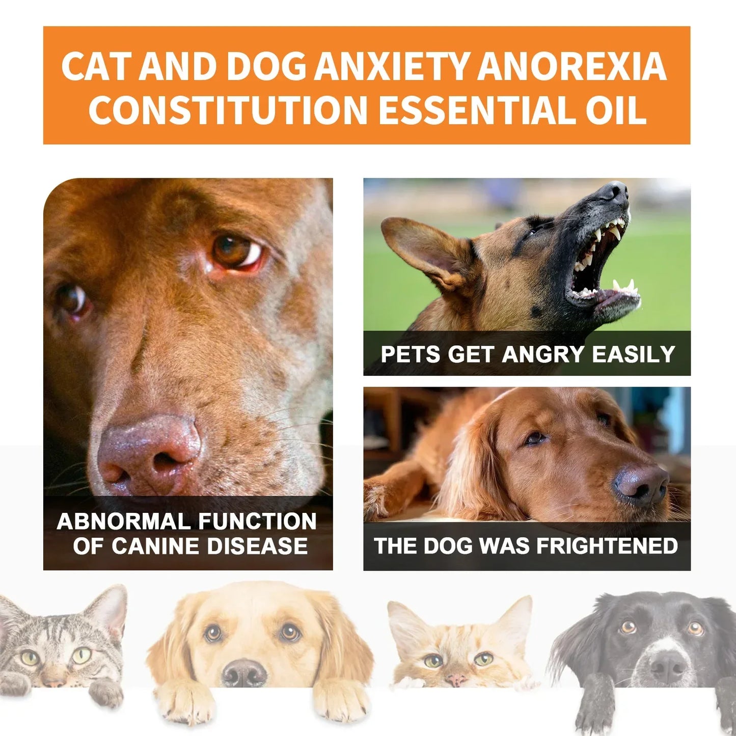 Natural Organic Calming Drops Pet Anxiety Relief Blend Essential Oil For Dogs Cats Create An Anxiety-Free Experience Skin Health